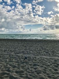 View of seagulls on beach