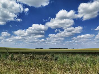 Scenic view of field against sky