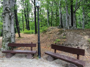 Empty bench in park