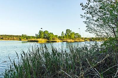 Scenic view of lake against clear sky