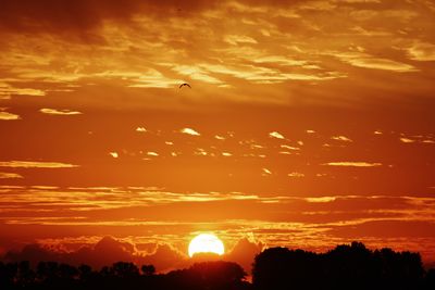 Scenic view of orange sky