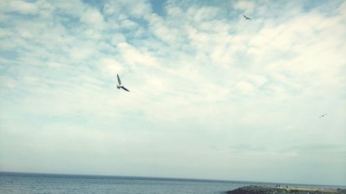 Bird flying over sea against cloudy sky