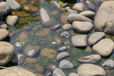 High angle view of stones in lake