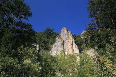 Low angle view of trees against clear blue sky