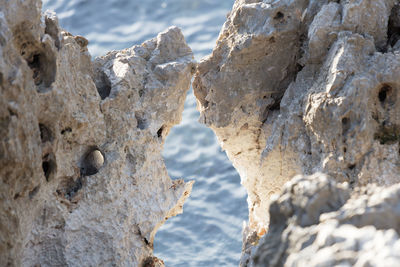 Marine jagged rocks at sea