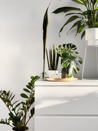 Close-up of potted plant on table at home