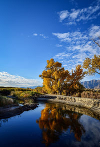 Autumn leaves on trees reflected in flowing river water