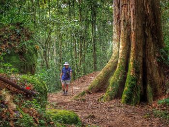 Woman walking along forest path