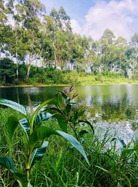 Scenic view of lake against sky