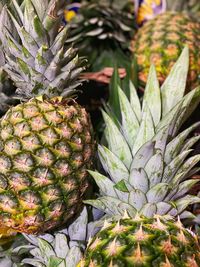 Close-up of fruits for sale in market