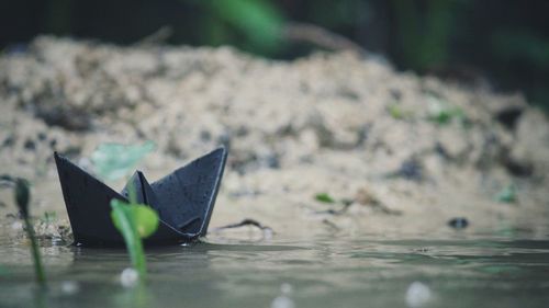 Close-up of paper boat floating on water