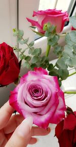 Close-up of pink rose bouquet