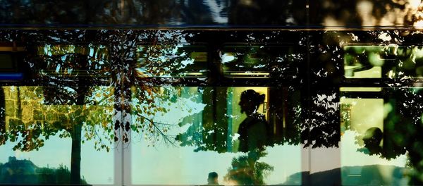 Reflection of trees on glass window in lake