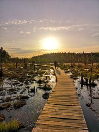 Rear view of person walking on footbridge over swamp