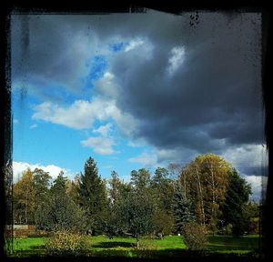 Trees on field against cloudy sky