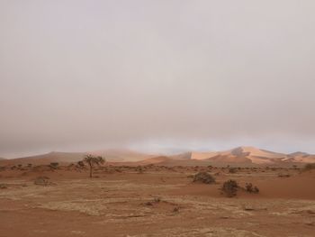 Scenic view of desert against sky