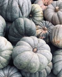 Full frame shot of pumpkins at market stall