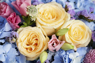 Close up of beautiful soft colour flower bouquet with blue hydrangea, peach roses, pink lisianthus,