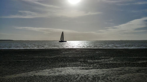 Sailboat sailing on sea against sky