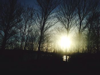 Silhouette of bare trees at sunset