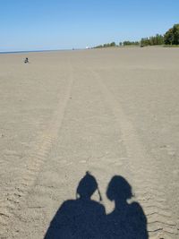Shadow of man on sand at beach against clear sky