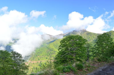 Panoramic view of landscape against sky