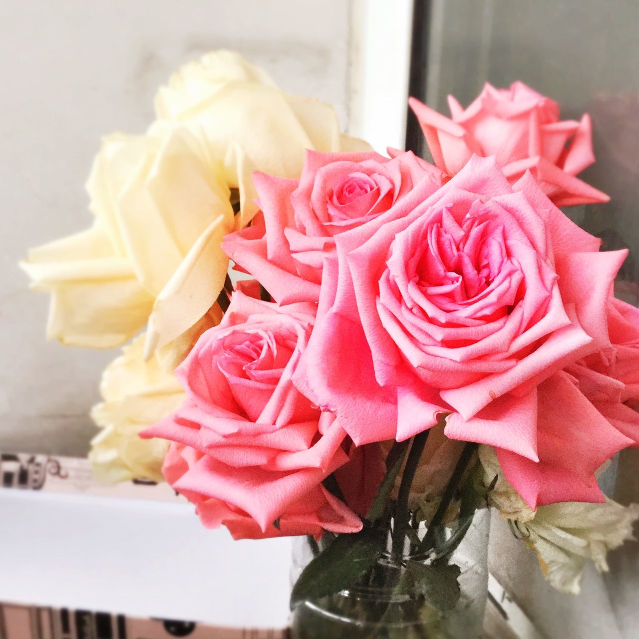 flower, rose - flower, freshness, indoors, petal, flower head, fragility, rose, close-up, vase, pink color, red, table, focus on foreground, beauty in nature, single flower, bouquet, single rose, nature, no people