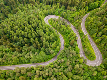 High angle view of winding road amidst trees in forest