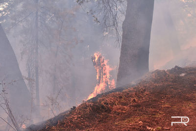 High angle view of fire on land against mountain