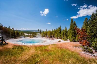 Scenic view of landscape against sky