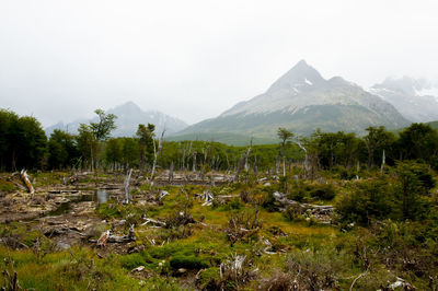 Scenic view of landscape and mountains against sky