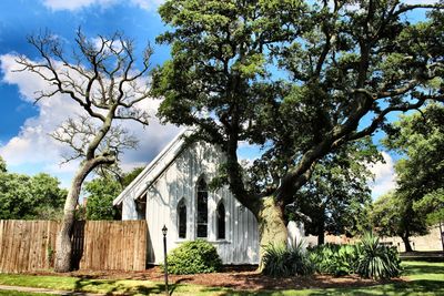 Trees by building against sky