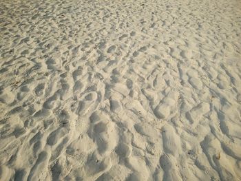 High angle view of footprints on sand at beach