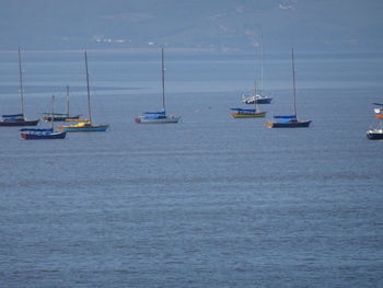 Sailboats moored on sea against sky