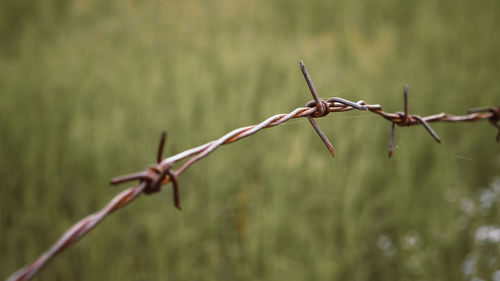 Close-up of barbed wire on fence