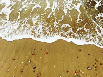 High angle view of beach