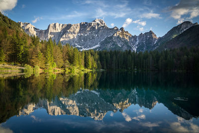 Reflection of trees in lake against sky at sunset