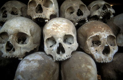 Close-up of human skulls