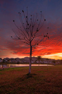 Bare tree on landscape against romantic sky at sunset