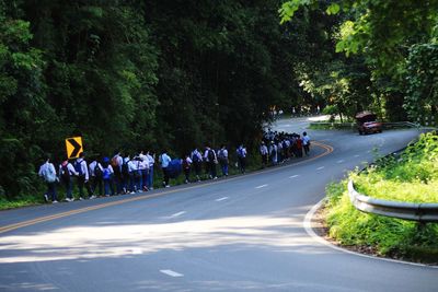 Rear view of people walking by trees on road