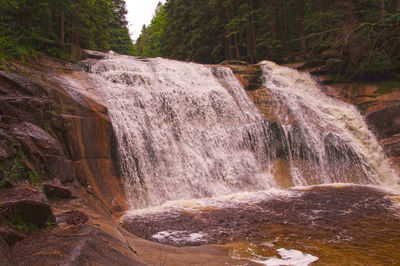 Scenic view of waterfall in forest