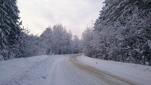 Snow covered street amidst frozen trees during winter