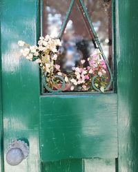 Close-up of plants on metal door