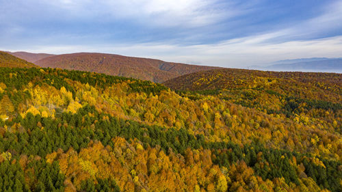 Scenic view of landscape against sky during autumn