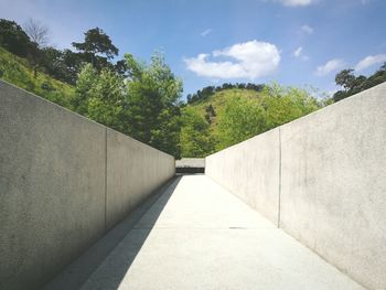 Walkway amidst trees against sky