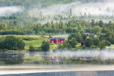Scenic view of lake in forest