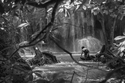 Panoramic view of waterfall in forest