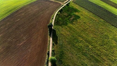 High angle view of agricultural field