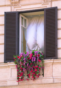 Close-up of flowers against brick wall
