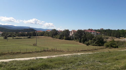 Scenic view of field against sky